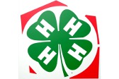 4h