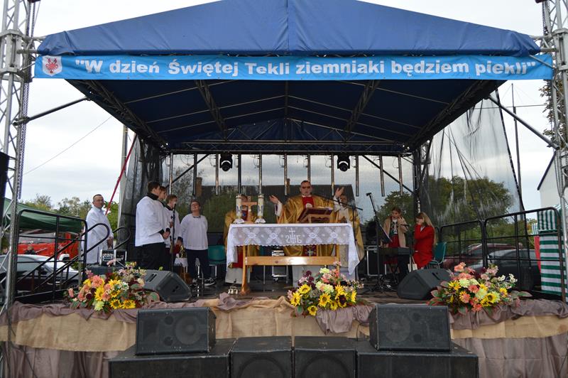 003 W dzień św. Tekli ziemniaki będziem piekli