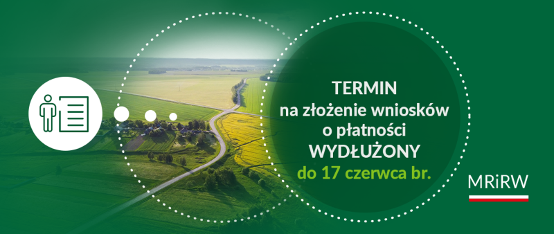 termin na złożenie wniosków o płatność 