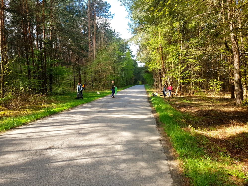 Droga asfaltowa przez las, sprzątający ludzie