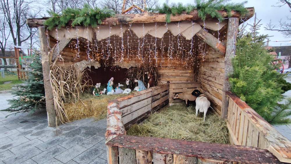 Szopka bożonarodzeniowa, figury gipsowe, żywe zwierzęta