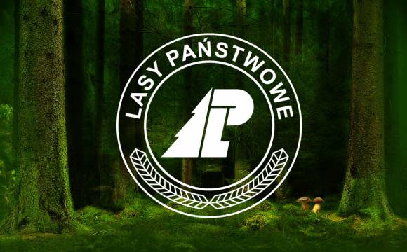 lasy panstwowe logo na tle lasu